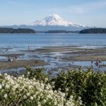 Scene in Edmonds: Around town Monday
