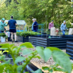 Students, volunteers give South Snohomish County community garden a glow up