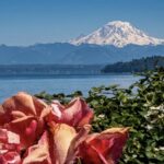 Scene in Edmonds: Around town