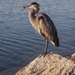 Scene in Edmonds: Around town
