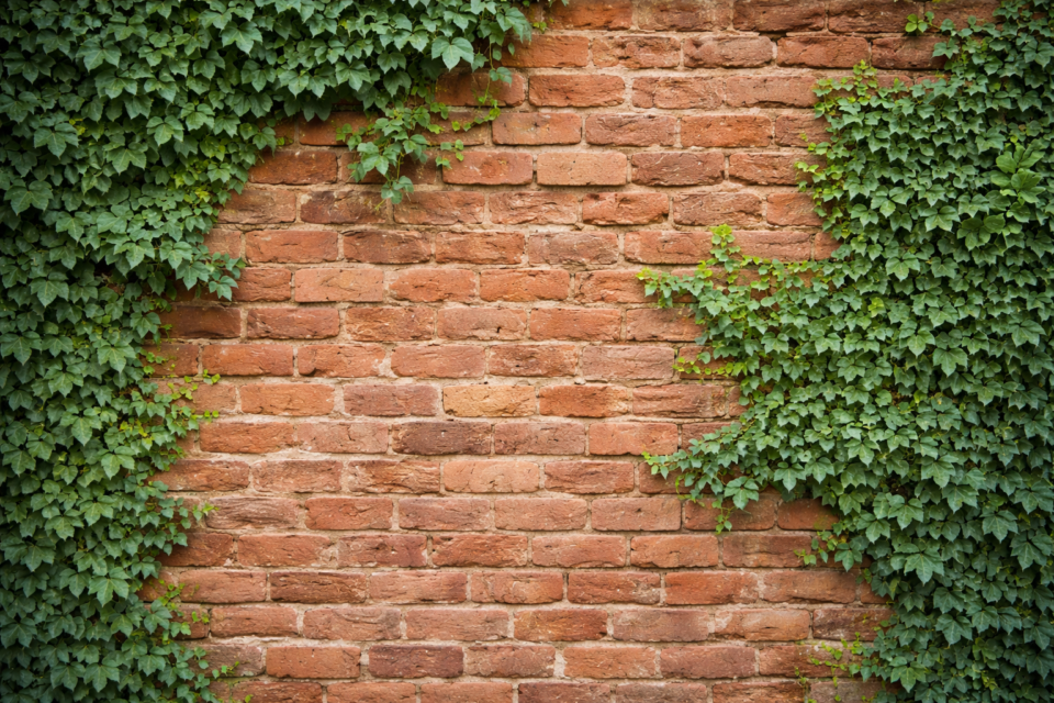 Break down genealogical brick walls during free session on June 27