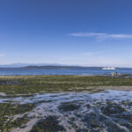 Scene in Edmonds: Around town Wednesday