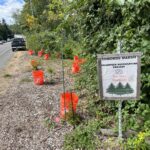 What’s happening at the Edmonds Marsh?