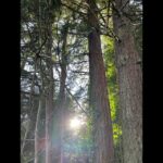 Edmonds Climate Advisory Board receives Sustainable Path Foundation grant