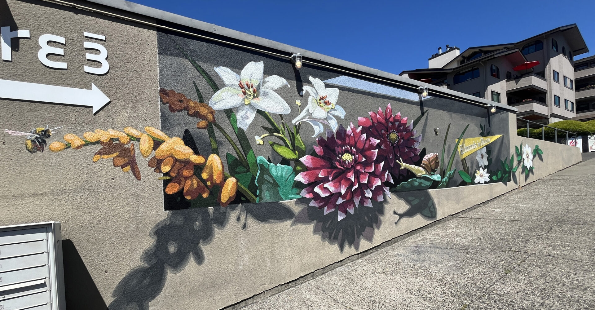 Photo from ‘Haven’ mural celebrates 30th anniversary of Edmonds in Bloom