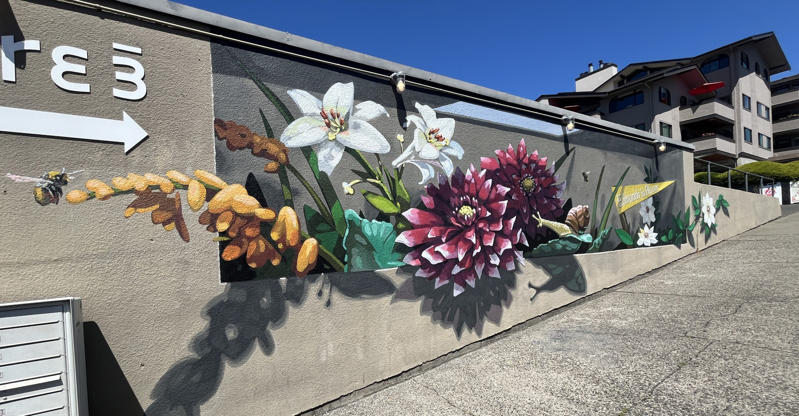 ‘Haven’ mural celebrates 30th anniversary of Edmonds in Bloom