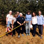 Edmonds Gleaning Group looking for volunteers