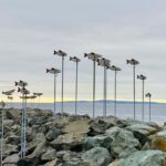 Scene in Edmonds: Around town Saturday