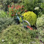 Scene in Edmonds: Around town Monday