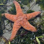 Scene in Edmonds: Around town Tuesday