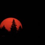 Scene in Edmonds: Around town Thursday