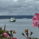 Scene in Edmonds: Around town Sunday