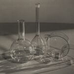 Art Beat Review: An inside look at the Seattle Camera Club