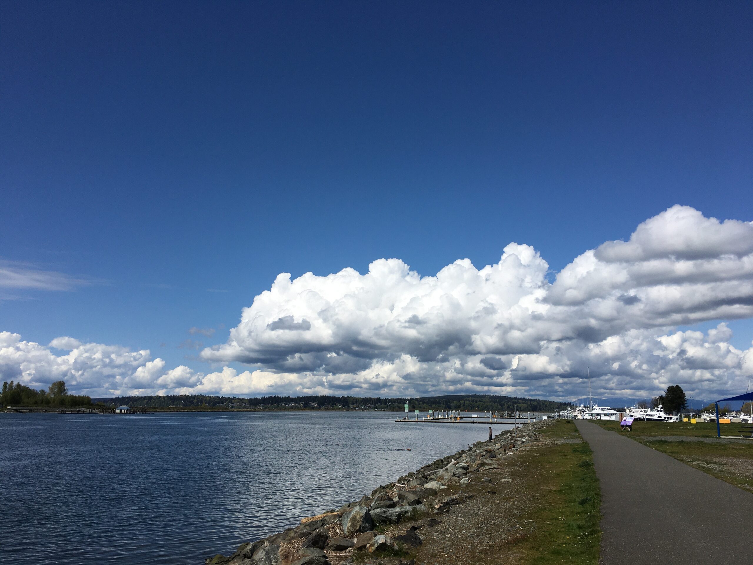 Greater Seattle Korean Association to host inaugural Eco-Run 5K in Everett Sept. 19
