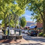 Scene in Edmonds: Around town