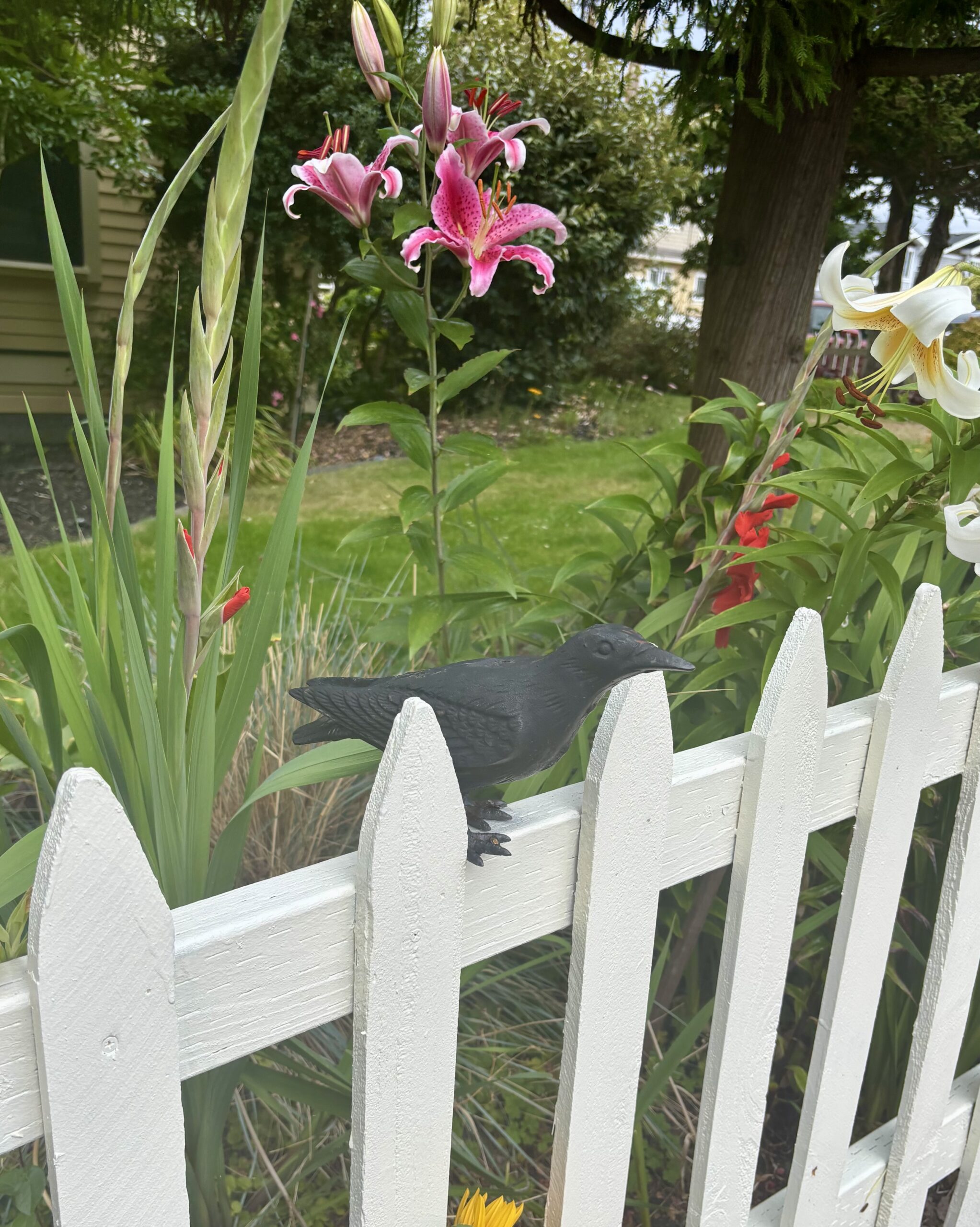 From: Scene in Edmonds: Around town Saturday
