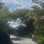 Scene in Edmonds: Around town Wednesday