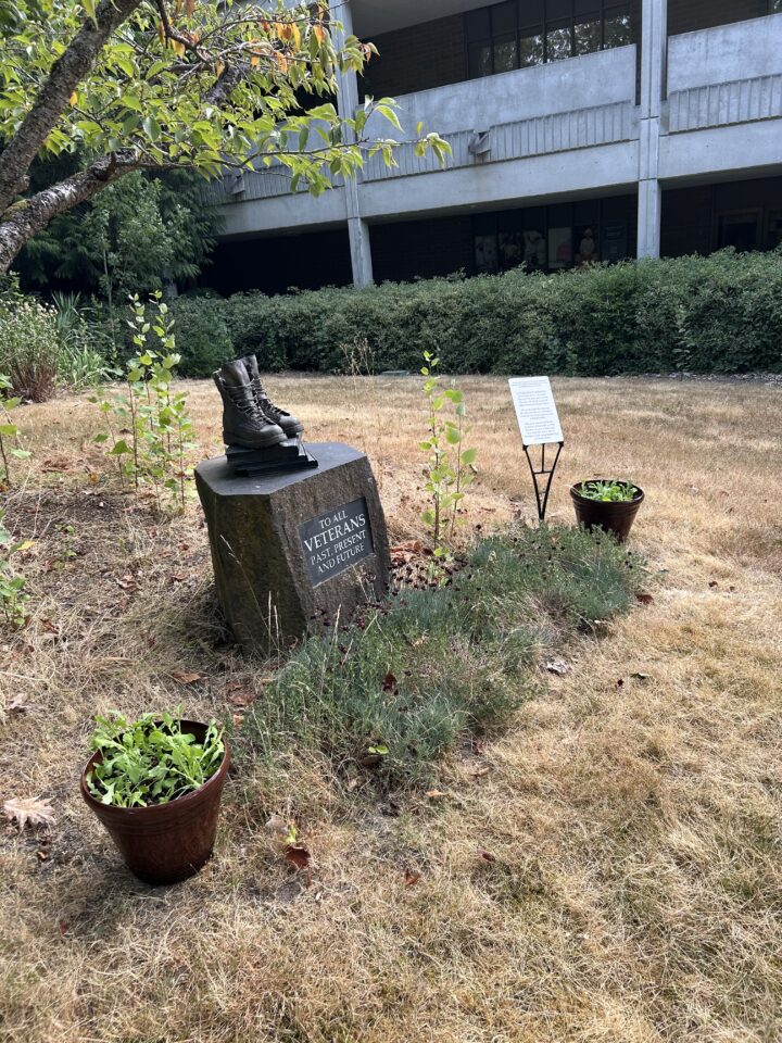 Poppies from Flanders Fields now grow at Edmonds College