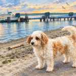 Scene in Edmonds: Around town Wednesday