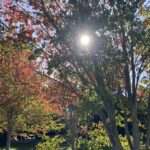 Scene in Edmonds: Around town Wednesday