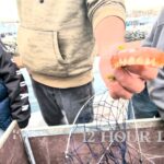 Volunteers remove abandoned fishing gear — and dentures — during Edmonds pier cleanup Oct. 24