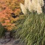 Scene in Edmonds: Around town Wednesday