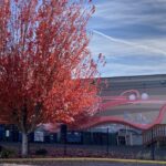 Scene in Edmonds: Around town