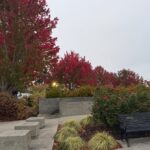 Scene in Edmonds: Around town Tuesday