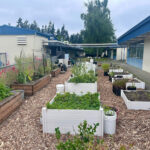Edmonds Floretum Garden Club accepting school gardening grants for 2026-27