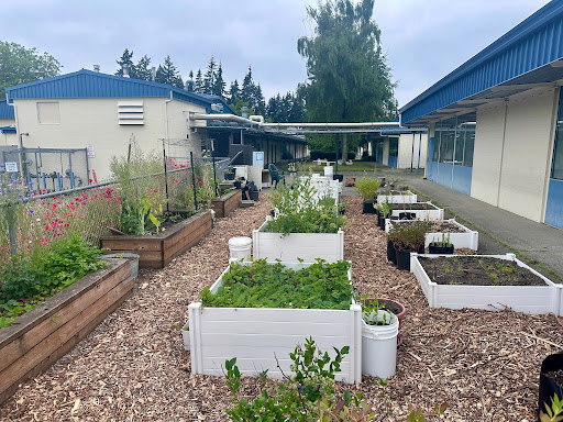 Edmonds Floretum Garden Club accepting school gardening grants for 2026-27