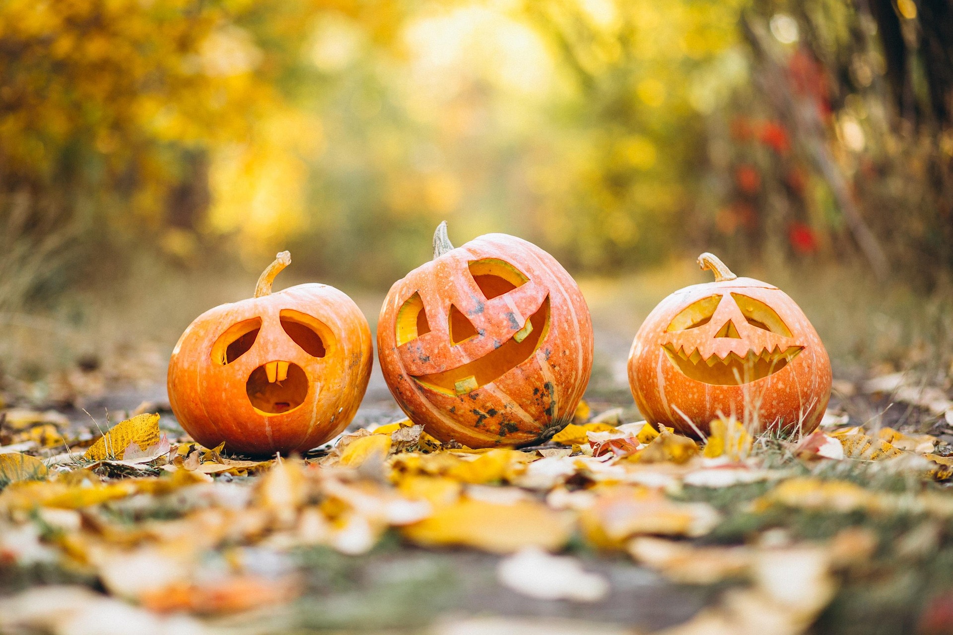 Edmonds, Lynnwood and Mountlake Terrace Churches Host Free Halloween Events