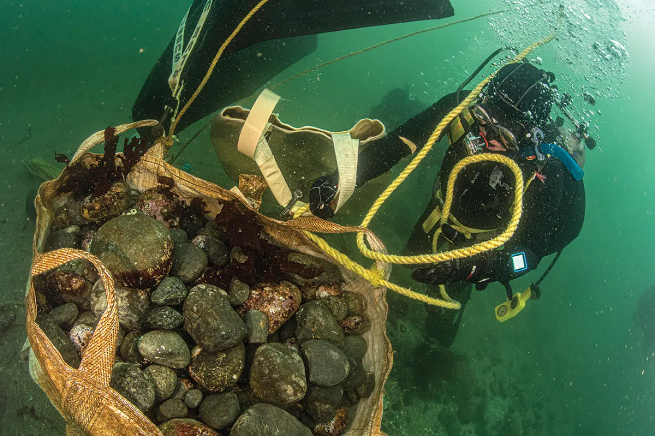 Edmonds Underwater: Only rocks in my head